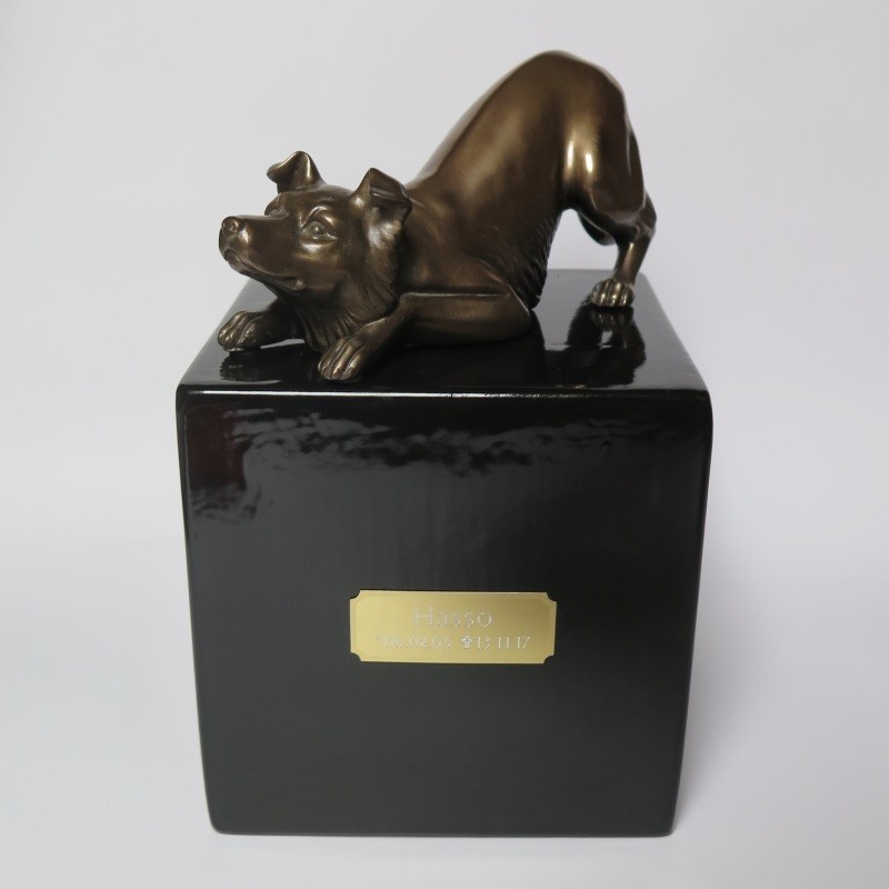 Border Collie Urne liegend Designurne